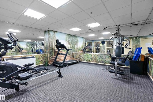 202 7510 89 Street, Edmonton, AB - Indoor Photo Showing Gym Room