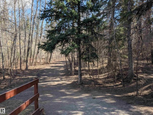 This spot by the trestle bridge is less than 5 minutes from your suite. It doesn't even feel like being in the city. - 202 7510 89 Street, Edmonton, AB - Outdoor With View