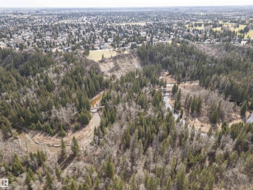 Expansive wooded area featuring a winding river, mature evergreen trees, and a distant residential backdrop - 607 Butterworth Wynd, Edmonton, AB - Outdoor With View