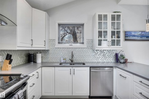 11531 97 Street, Edmonton, AB - Indoor Photo Showing Kitchen With Double Sink