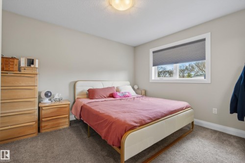 7008 97 Street, Edmonton, AB - Indoor Photo Showing Bedroom