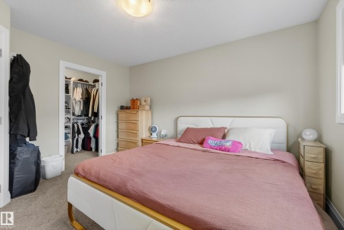 7008 97 Street, Edmonton, AB - Indoor Photo Showing Bedroom