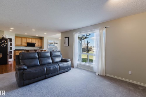 3534 Mclean Crescent, Edmonton, AB - Indoor Photo Showing Living Room
