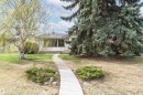 Front exterior featuring white siding, a prominent large evergreen tree, and a concrete walkway - 11423 50 Avenue, Edmonton, AB  - Outdoor 