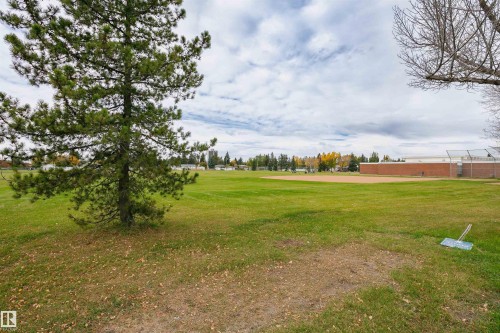 Expansive green space featuring a mature pine tree and a distant baseball diamond - 11423 50 Avenue, Edmonton, AB - Outdoor With View