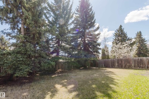 Expansive backyard featuring a partial wooden privacy fence, mature evergreen trees, and a grassy lawn - 10423 35 Avenue, Edmonton, AB - Outdoor