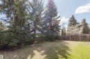 Expansive backyard featuring a partial wooden privacy fence, mature evergreen trees, and a grassy lawn - 10423 35 Avenue, Edmonton, AB  - Outdoor 