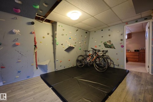 43 Brampton Street, Spruce Grove, AB - Indoor Photo Showing Garage