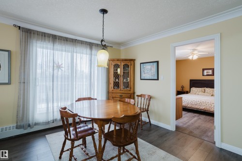 The dining area features wood-style flooring, a light fixture, and a large window with sheer curtains - 25 9926 80 Avenue, Edmonton, AB - Indoor Photo Showing Dining Room