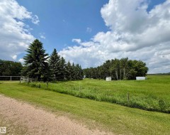 Expansive green landscape featuring mature evergreen trees and additional deciduous trees - 
