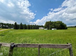 Expansive green pasture with a distant residence, mature evergreen trees, and a gravel drive - 