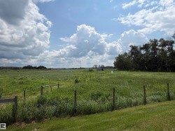 Expansive green acreage with a distant tree line and a clear sky - 