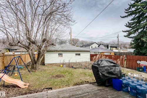 Spacious backyard with a large mature tree, a wooden deck, and a detached garage featuring siding and a shingled roof - 9760 64 Avenue, Edmonton, AB - Outdoor