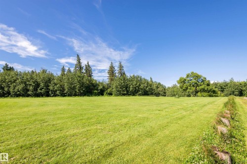 Expansive open field with a lush green lawn bordered by a dense tree line - 9760 64 Avenue, Edmonton, AB - Outdoor With View