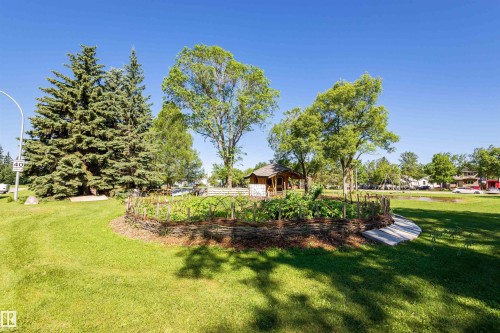 Manicured lawn with a raised garden bed, featuring a woven fence, a small wooden gazebo, and mature evergreen and deciduous trees - 9760 64 Avenue, Edmonton, AB - Outdoor
