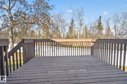 Wood-finish deck with a perimeter railing and outdoor stairs, surrounded by natural trees - 46 903 109 Street, Edmonton, AB - Outdoor With Exterior