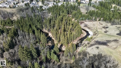 Expansive wooded landscape featuring mature evergreen trees and a winding waterway - 46 903 109 Street, Edmonton, AB - Outdoor With View