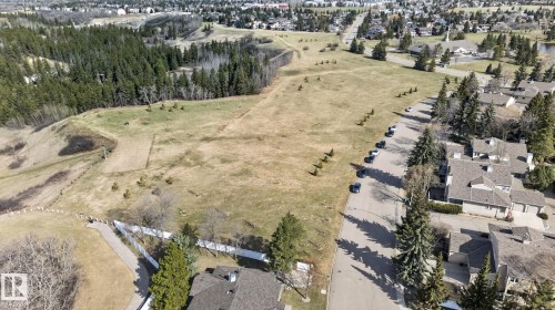 Expansive undeveloped land parcel featuring natural grasses and scattered evergreen trees - 46 903 109 Street, Edmonton, AB - Outdoor With View