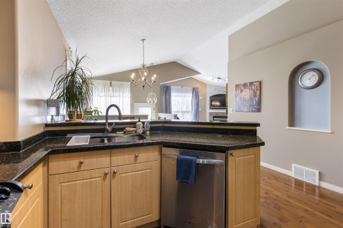 17120 119 Street, Edmonton, AB - Indoor Photo Showing Kitchen With Double Sink