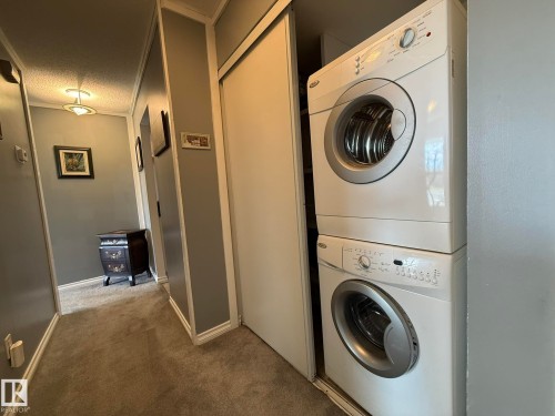 Image quality insufficient for description - 5 2204 118 Street, Edmonton, AB - Indoor Photo Showing Laundry Room