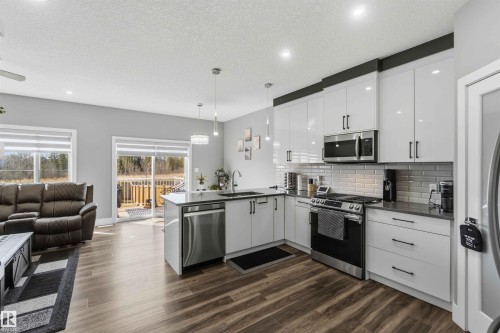 1641 Enright Way, Edmonton, AB - Indoor Photo Showing Kitchen With Upgraded Kitchen