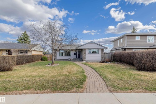 Ranch-style residence featuring a prominent front yard, paved brick walkway, and a mature tree - 7927 71 Avenue, Edmonton, AB - Outdoor