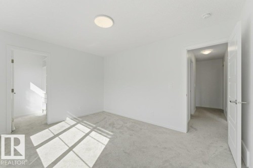 Carpeted room featuring white walls, a flush-mount ceiling light, and a paneled door with contemporary hardware - 2011 207 Street, Edmonton, AB - Indoor Photo Showing Other Room