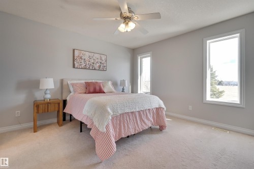 The room features light-colored walls and carpeting, a ceiling fan with integrated lighting, and two windows providing natural light - 24 Birchmont Drive, Leduc, AB - Indoor Photo Showing Bedroom