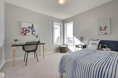 This room features light-colored carpeting, light gray walls, and two large windows providing natural illumination - 24 Birchmont Drive, Leduc, AB - Indoor Photo Showing Bedroom