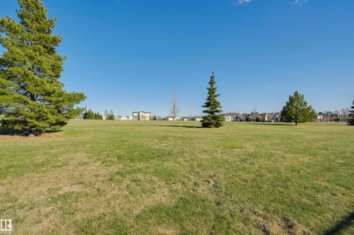 Expansive grassy area featuring scattered evergreen trees - 24 Birchmont Drive, Leduc, AB - Outdoor With View
