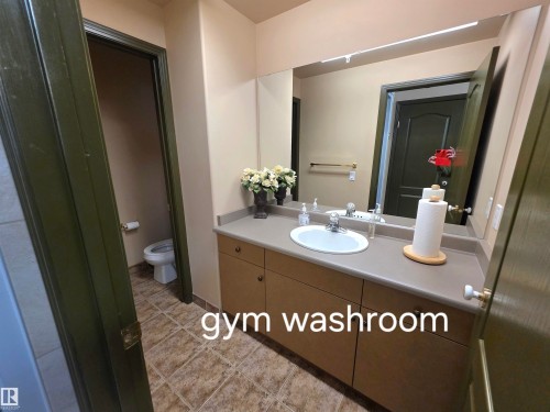 219 6623 172 Street, Edmonton, AB - Indoor Photo Showing Bathroom