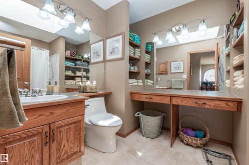 687 Meadowview Drive, Sherwood Park, AB - Indoor Photo Showing Bathroom