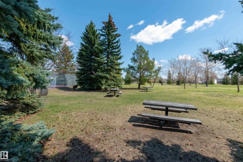 687 Meadowview Drive, Sherwood Park, AB - Outdoor With View