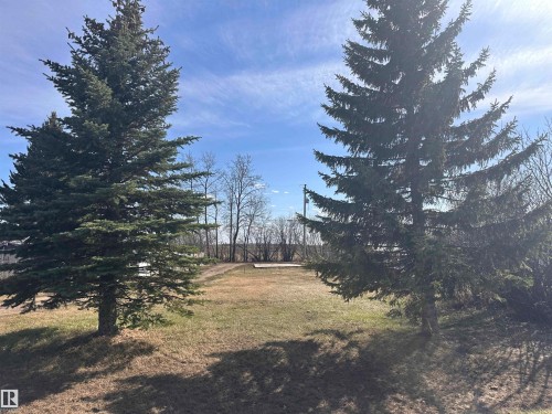 Expansive outdoor area featuring mature evergreen trees and a partially grassed lot - 5211 50 Avenue, Fawcett, AB 