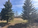 Expansive outdoor area featuring mature evergreen trees and a partially grassed lot - 5211 50 Avenue, Fawcett, AB 