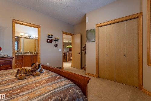 22031 Twp Rd 472, Rural Wetaskiwin County, AB - Indoor Photo Showing Bedroom