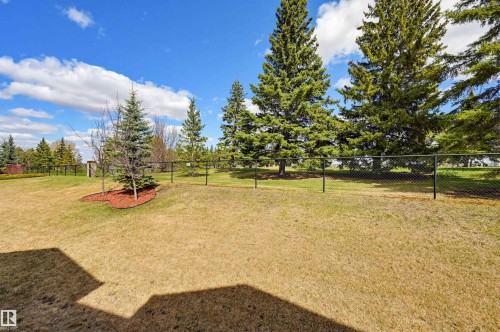 Expansive backyard featuring a manicured lawn, established evergreen trees, and a black chain-link fence - 11 94 Longview Drive, Spruce Grove, AB - Outdoor With View