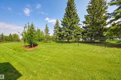 Expansive green lawn with mature evergreen trees and established landscaping - 