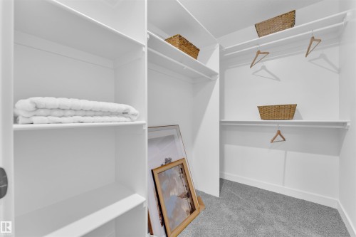 Walk-in closet with white shelving, hanging rods, and grey carpeting - 269 Falcon Crescent, Leduc, AB - Indoor With Storage