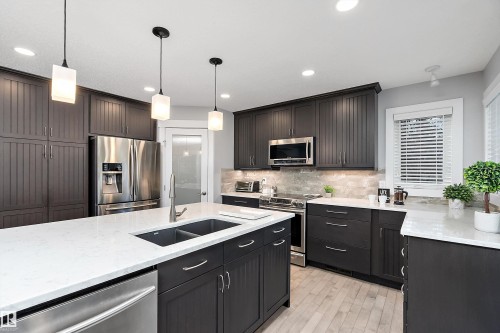 1223 117 Street, Edmonton, AB - Indoor Photo Showing Kitchen With Double Sink With Upgraded Kitchen