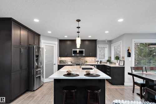 1223 117 Street, Edmonton, AB - Indoor Photo Showing Kitchen With Upgraded Kitchen