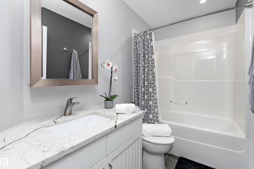 1223 117 Street, Edmonton, AB - Indoor Photo Showing Bathroom