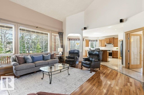 244 Wolf Willow Road, Edmonton, AB - Indoor Photo Showing Living Room