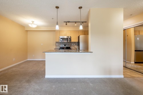 214 13907 136 Street, Edmonton, AB - Indoor Photo Showing Kitchen