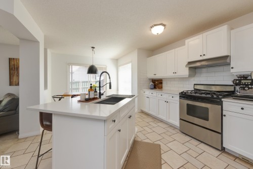 2061 Haddow Drive, Edmonton, AB - Indoor Photo Showing Kitchen With Double Sink