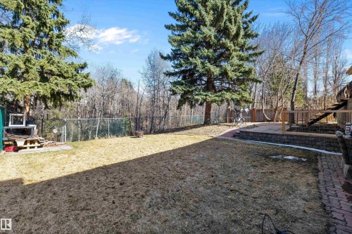 Expansive backyard featuring a grass lawn, mature evergreen trees, a brick paver patio, a raised wood deck with railings, and a chain-link fence - 227 Westridge Road, Edmonton, AB - Outdoor