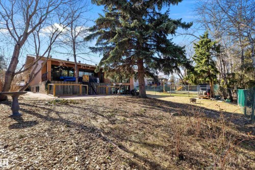 Expansive rear grounds with a chain-link fence, mature evergreen trees, and a multi-level deck featuring wood-finish railings - 227 Westridge Road, Edmonton, AB - Outdoor