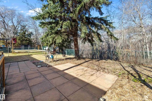Spacious backyard featuring a large paved patio, mature evergreen trees, and a wooden deck with railing - 227 Westridge Road, Edmonton, AB - Outdoor