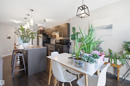 Open-concept kitchen featuring dark cabinetry, stainless steel appliances, a tiled backsplash, and an island with pendant lighting - 7323 24 Ave, Edmonton, AB - Indoor