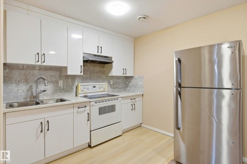 2132 32 Street Nw, Edmonton, AB - Indoor Photo Showing Kitchen With Double Sink